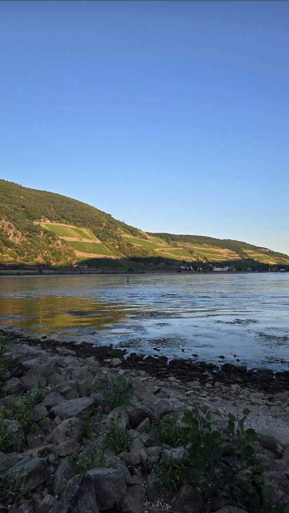 Weinberge am Mittelrhein