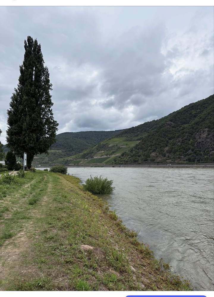 Wanderweg am Rheinufer