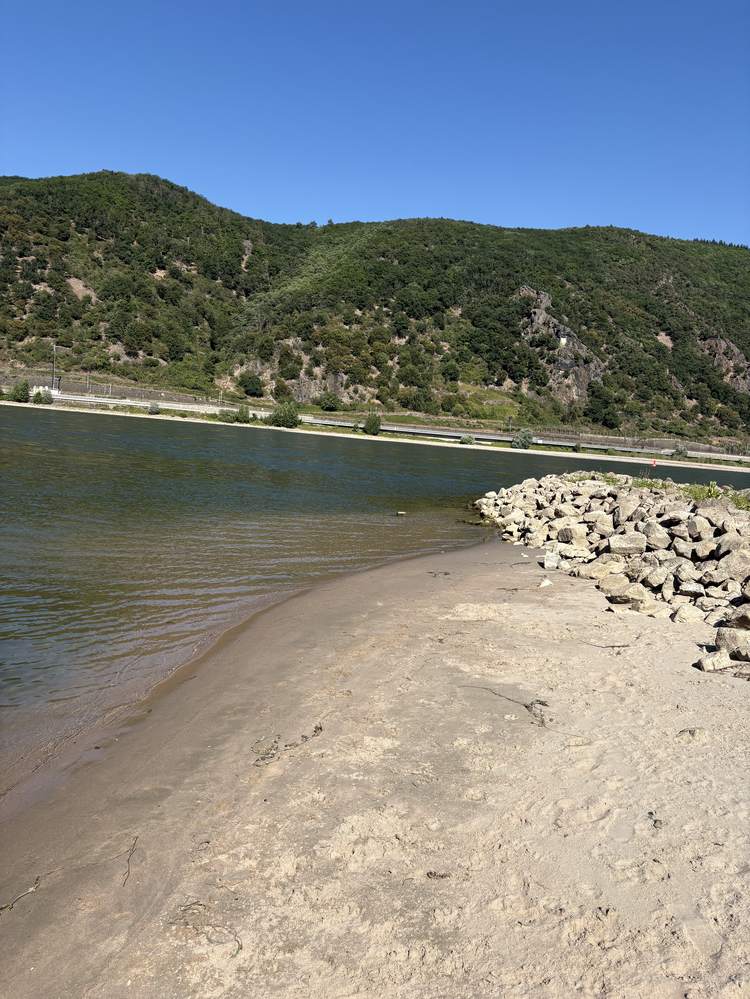 Sandbank am Rhein