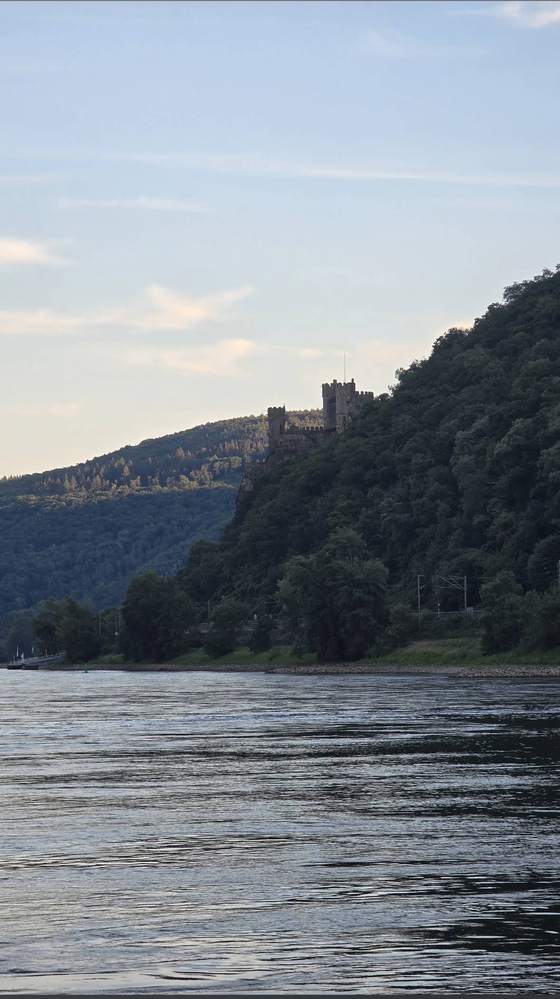 Burg Reichenstein vom Rhein aus