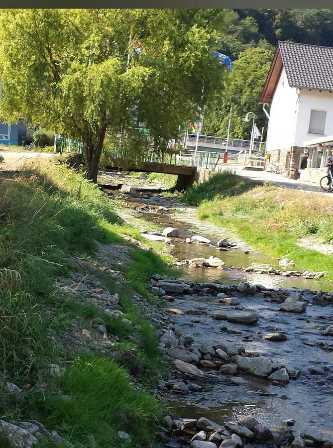 Bachlauf am Campingplatz